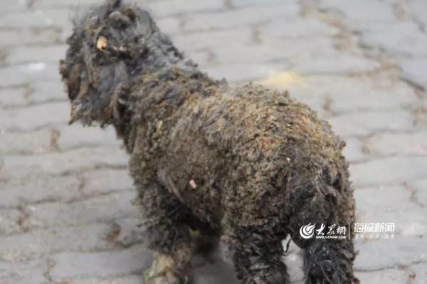 突發(fā)！青島一居民樓發(fā)生爆燃！已造1人死亡，7人受傷！3公里外有震感…