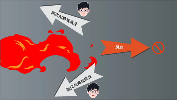 【動畫】森林草原防火“十不準”“五不燒”！這些安全知識要牢記